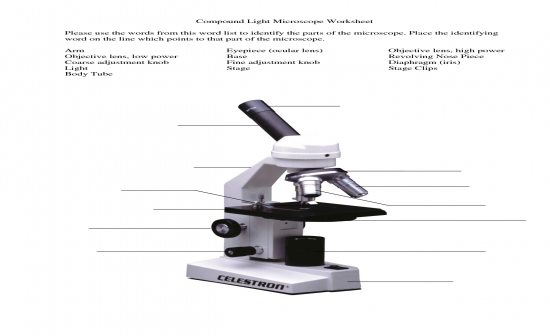 BIOLOGY LAB PRACTICAL EXAM 1 - Flashcards