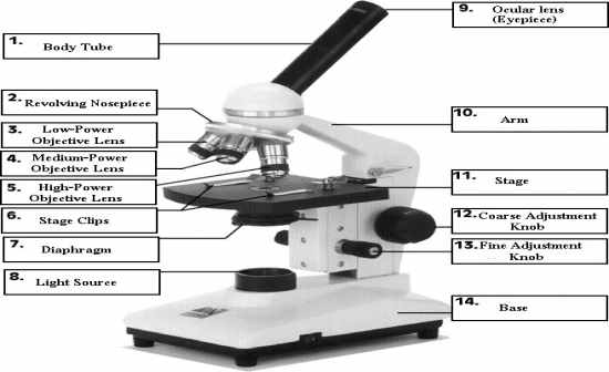 BIOLOGY LAB PRACTICAL EXAM 1 Flashcards by ProProfs