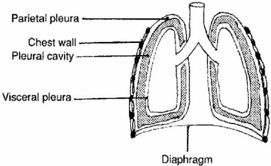 Question 6