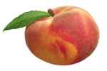 Peach - Flashcard