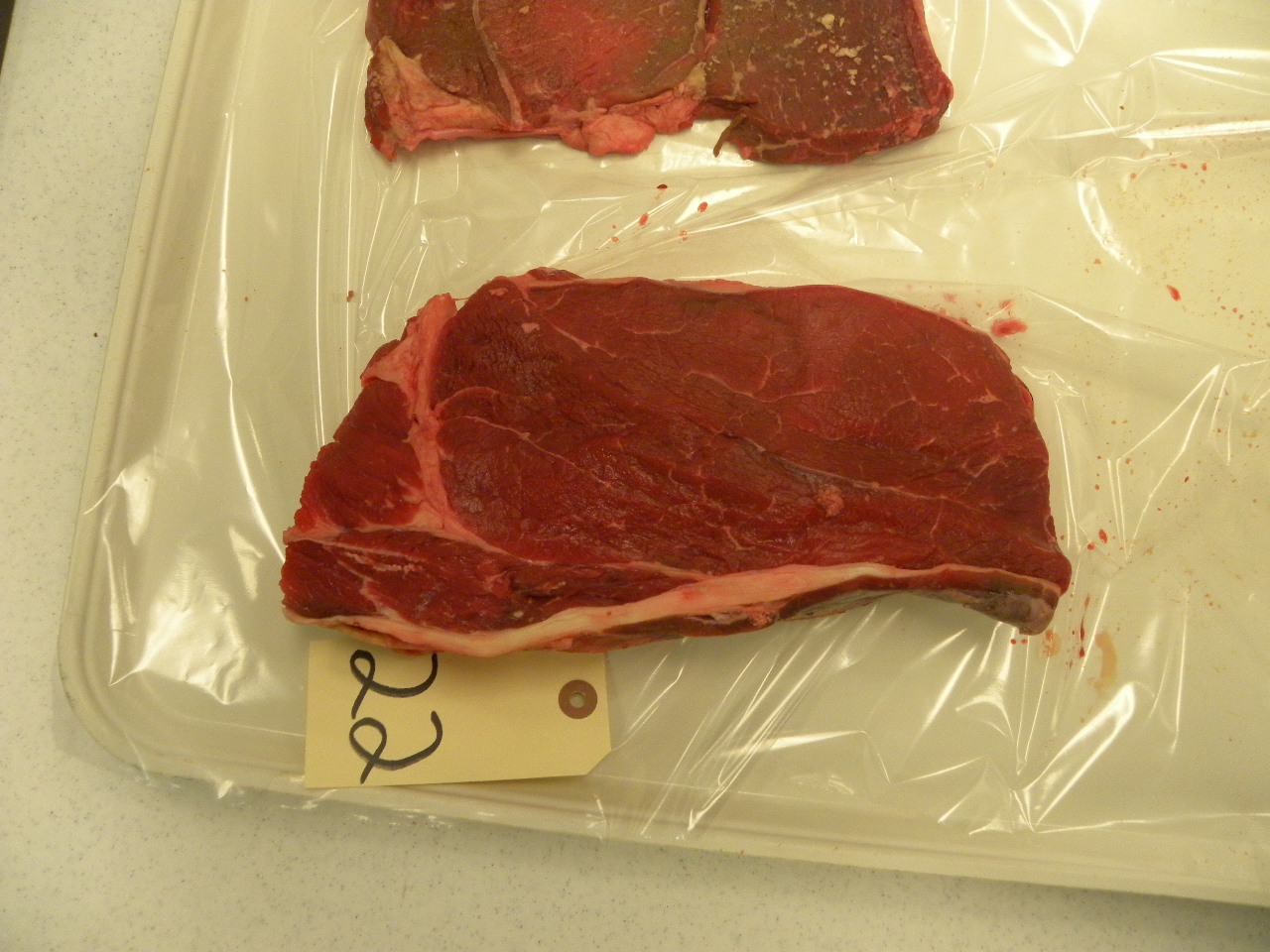 Meat Identification Set - Flashcards