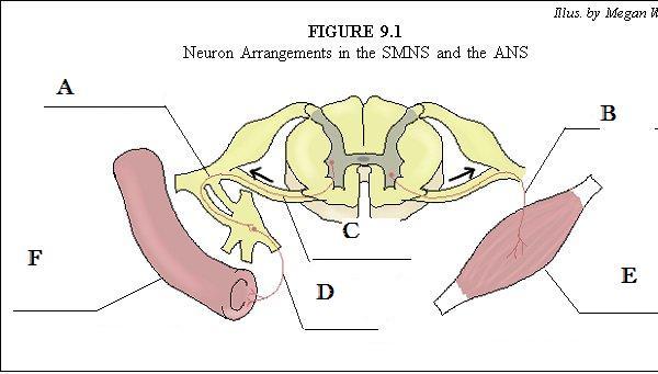 Question 5