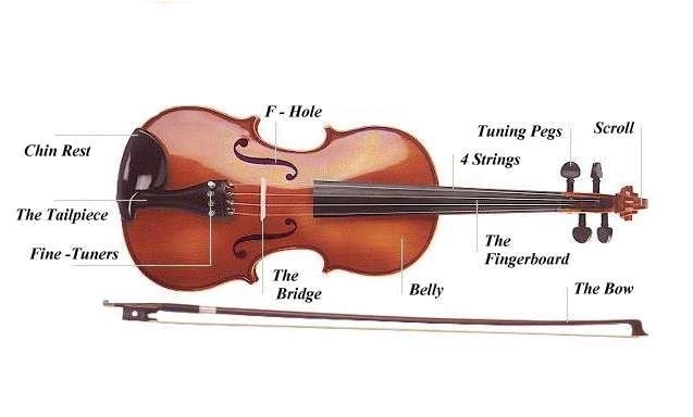 Instruments of the Orchestra - Flashcards