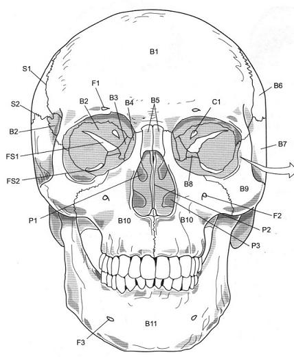 Question 7