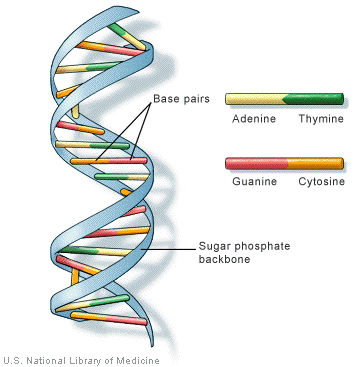 Question 4