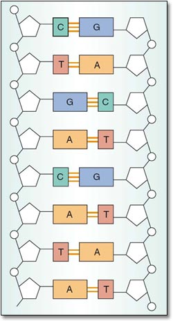 Question 9