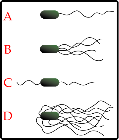 Question 15