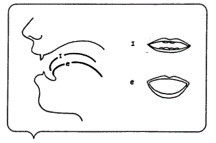 Pronunciation 1, Part 2 - Flashcards